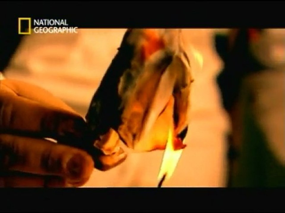 LA MAFIA : Mafia ! Quelle Mafia ? 1/3