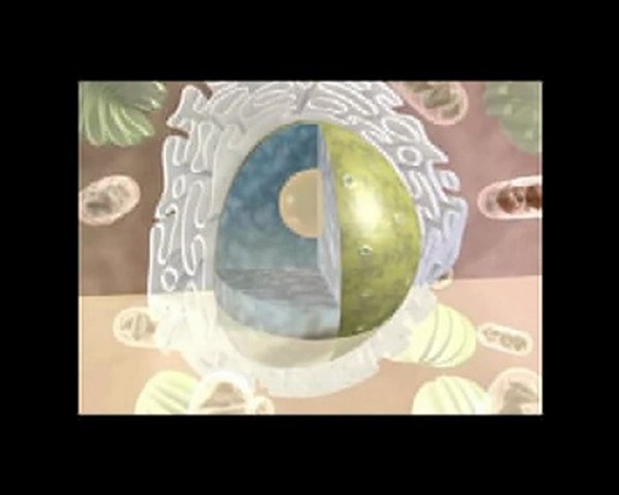 Evolution Autotune: Astrobiology Project