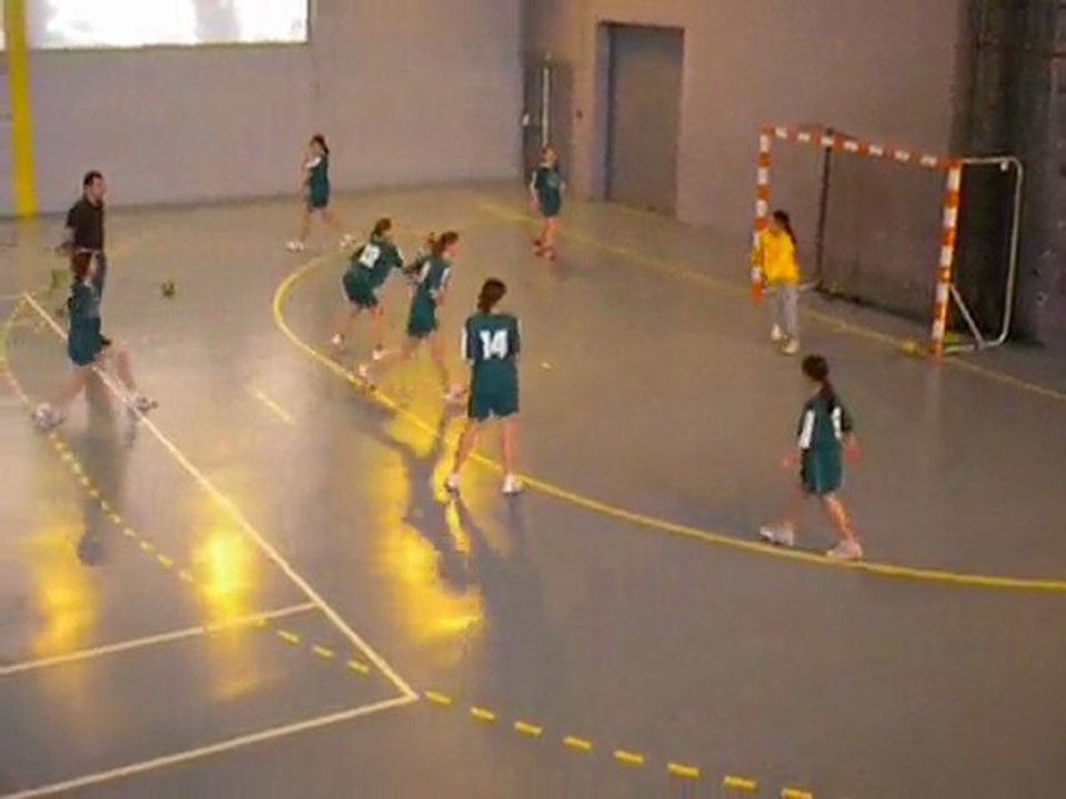 Gond nersac 30-01-2010 (3)