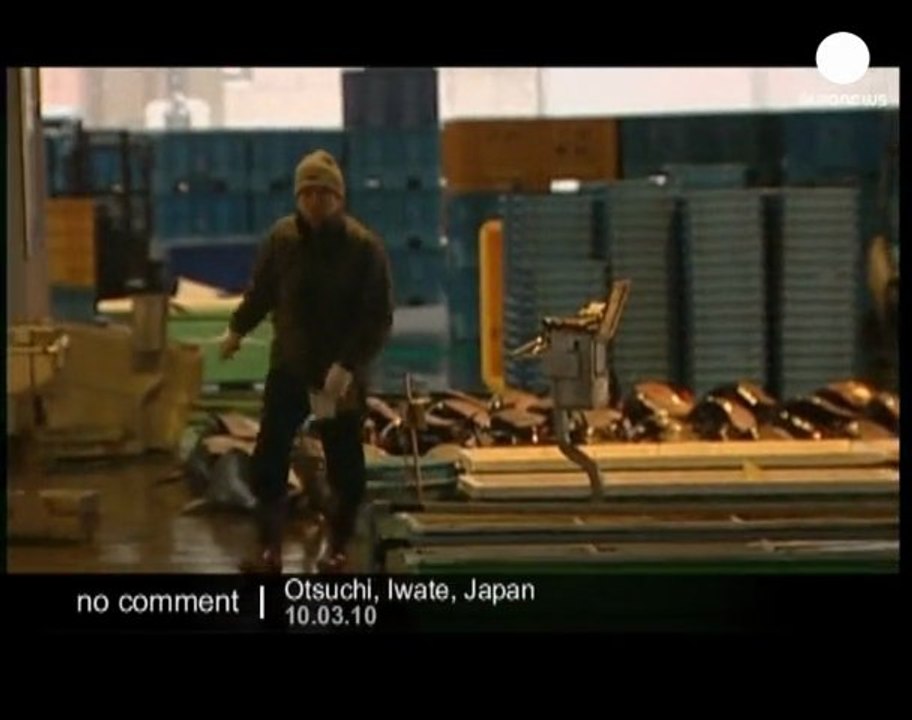 Porpoise hunt in Japan