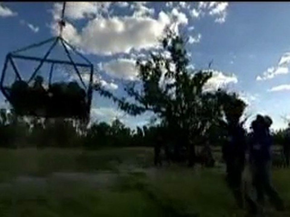 Pecore in volo in Australia