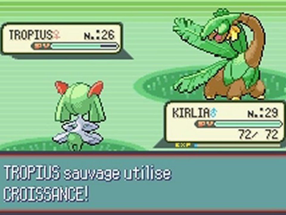 pokémon saphir 14 " une randonnée jusqu'au centre météo"