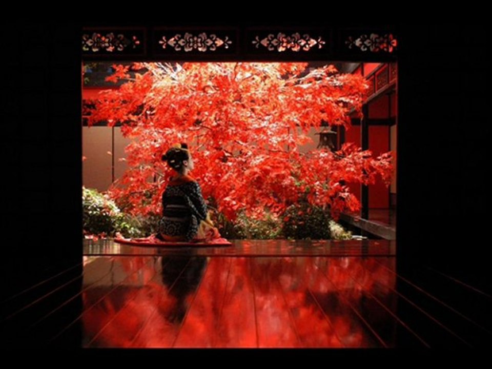 Clarifying Common Confusions 🤔