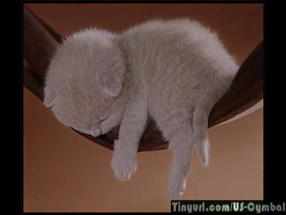 How to Use Cymbalta for Depression & Nerve Pain