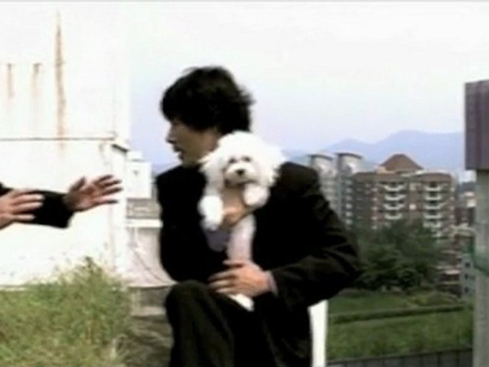 Old Boy - Grief AMV 🎥