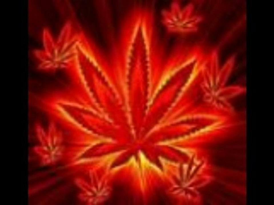 mashup dancehall riddim