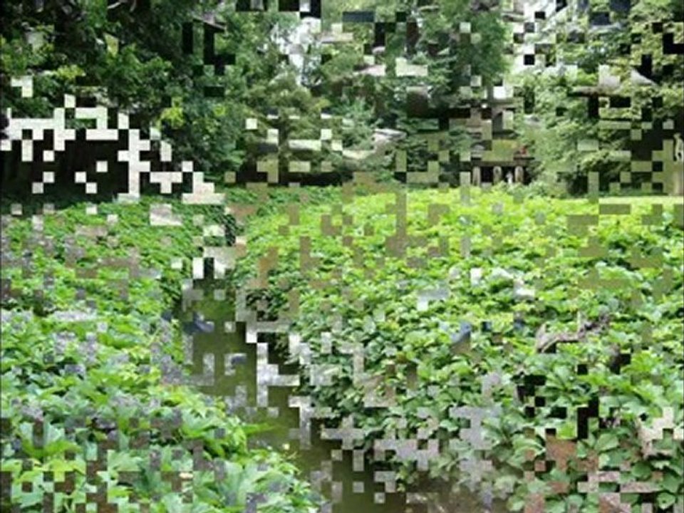 Софиевский парк