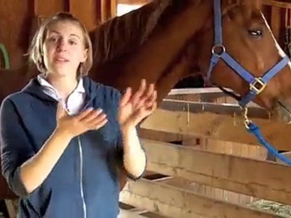 Fundamentals of horsemanship