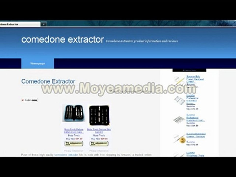 Comedone Extractor