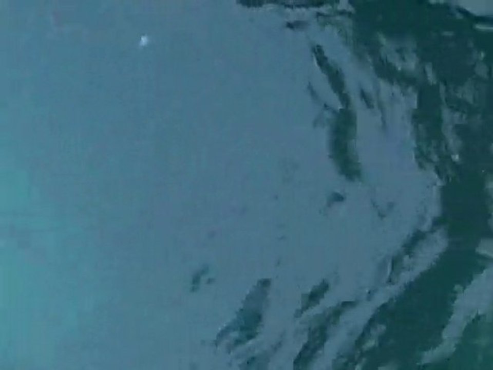 Poissons No Kill en Pêche Méditerranéenne 🐟