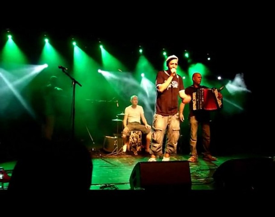 profession saltimbanque