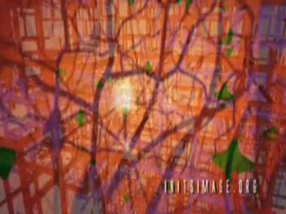 In It’s Image (1/2)