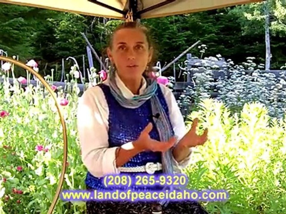 Why use organic healing oils?