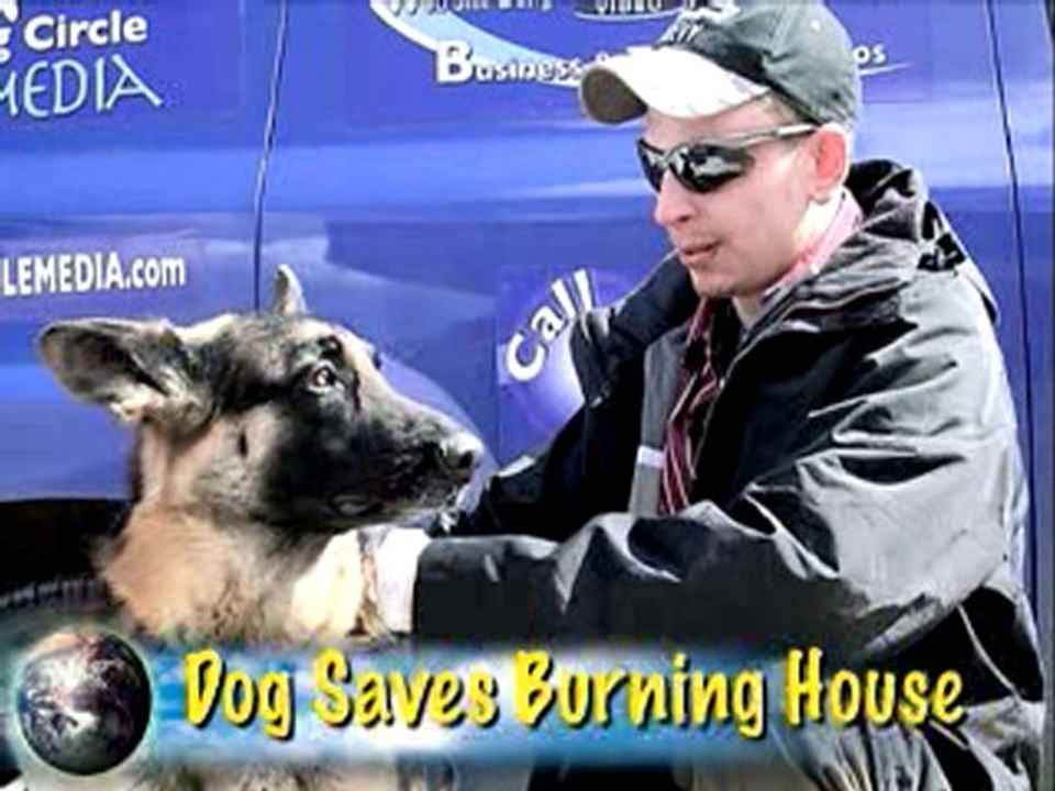This Just Zen: Dog Saves Burning House