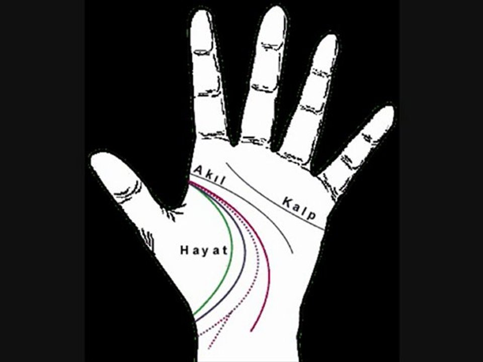 Hayat: The Journey of Life