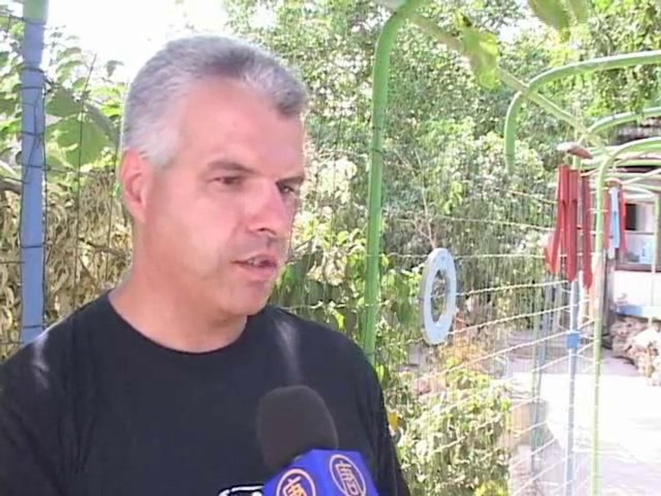 Хозяин в отпуск – собаку за дверь