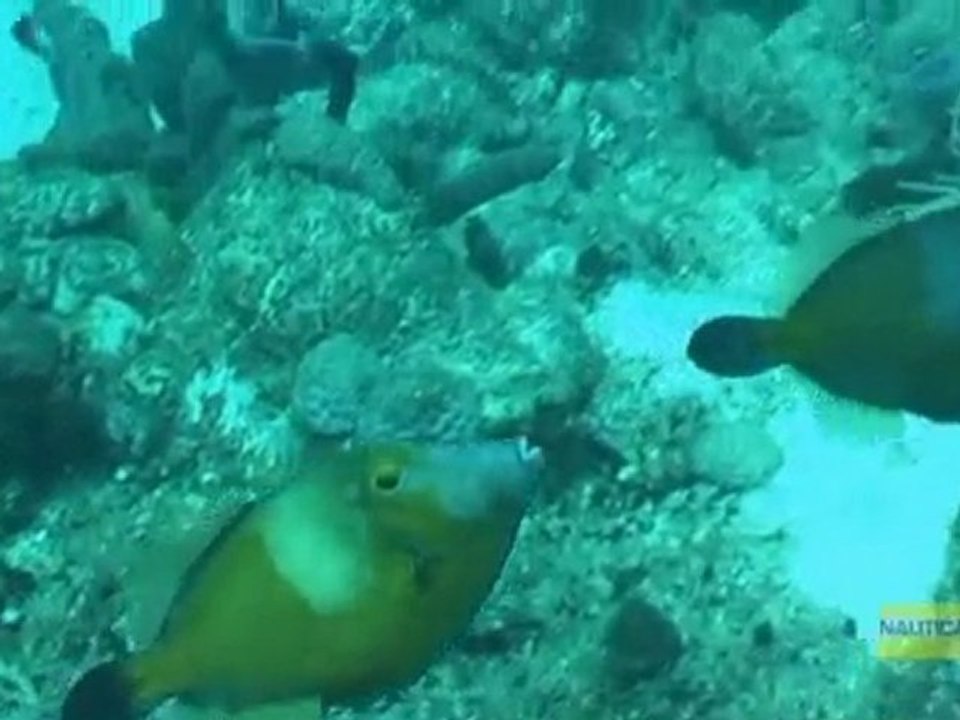 Nautica - Exploration