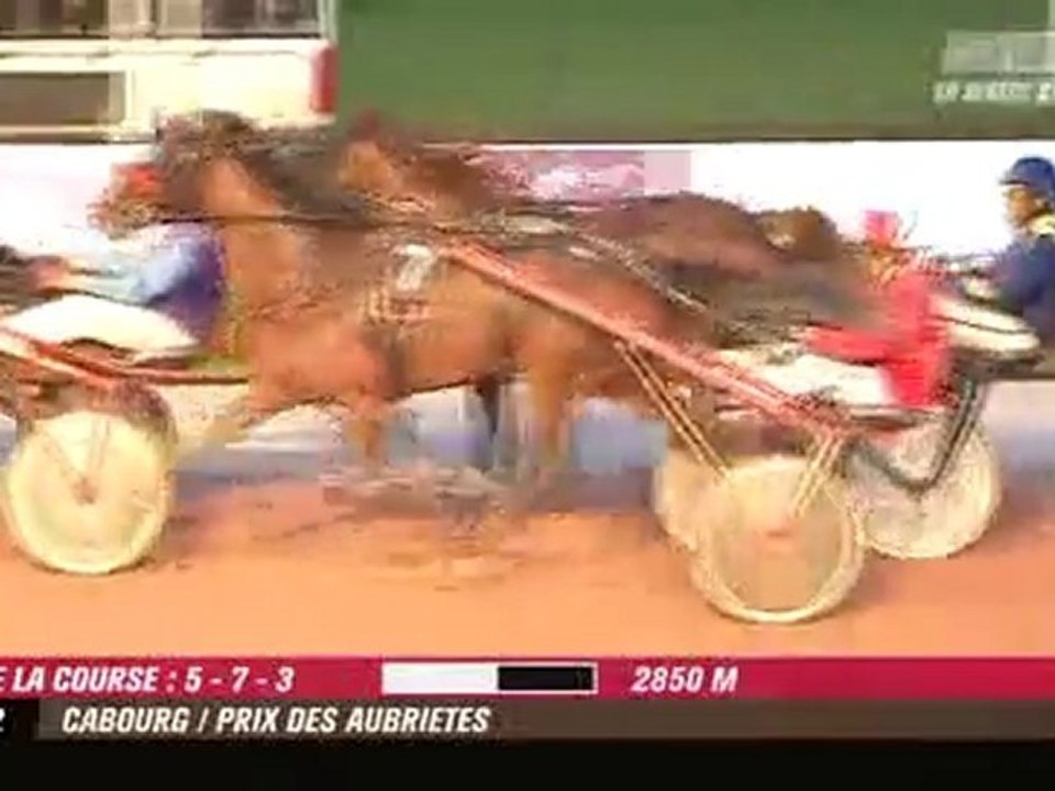 Quiz de Ginai Quinte 🎯