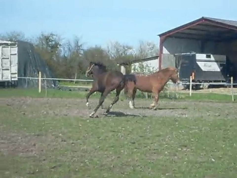 variance de la roche