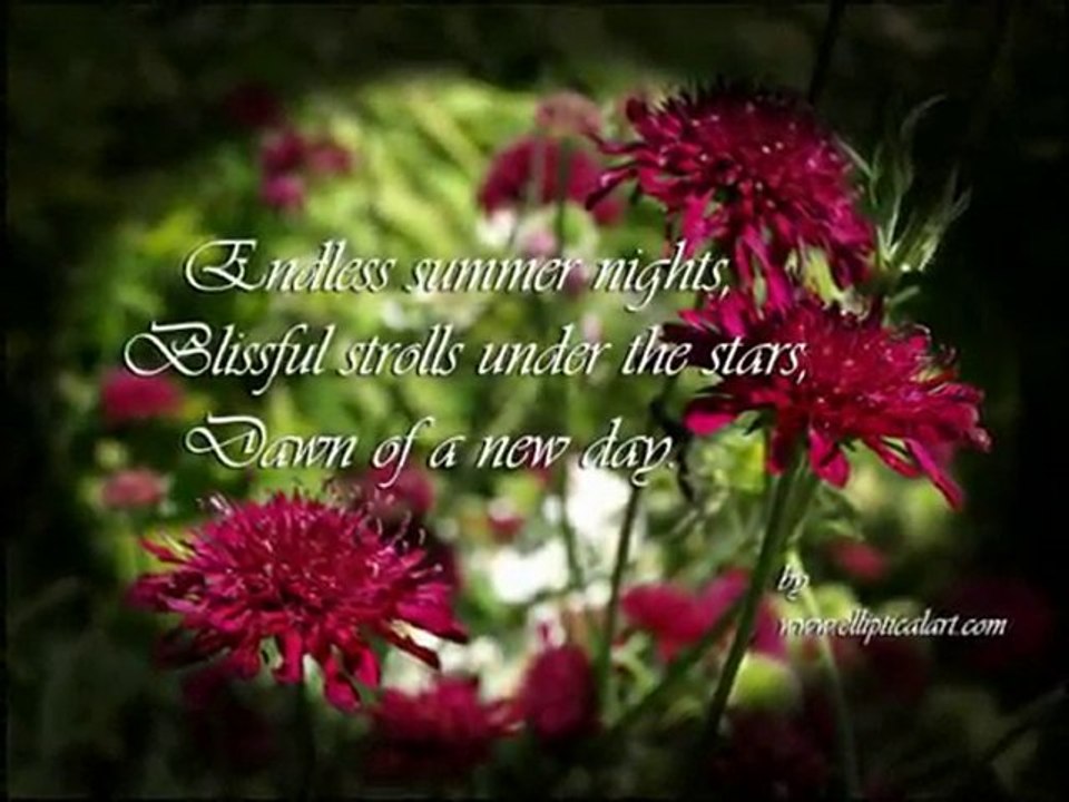 Discover the Unique Charm of Elliptical Art Collection 2 🎨