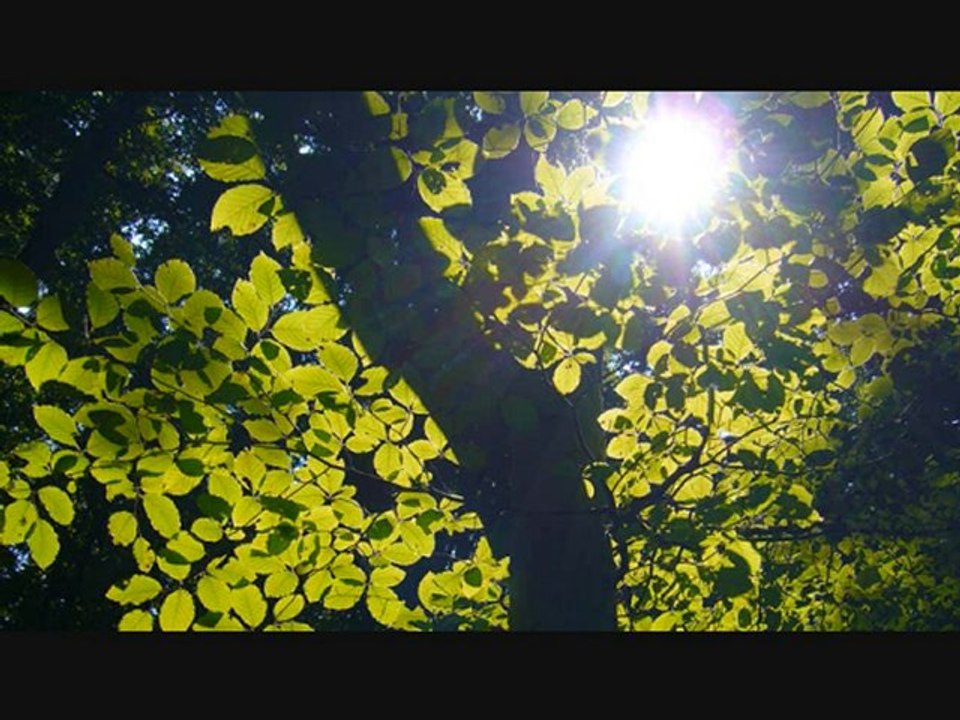 Project School: Building Better Education