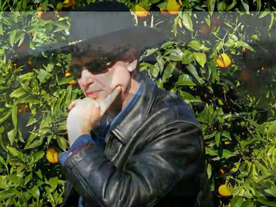 King Sunny Boy: Unique Music Video 🎶