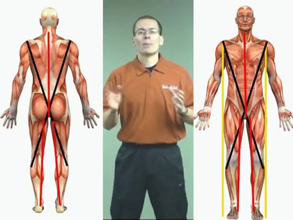 The theory of human movement and function