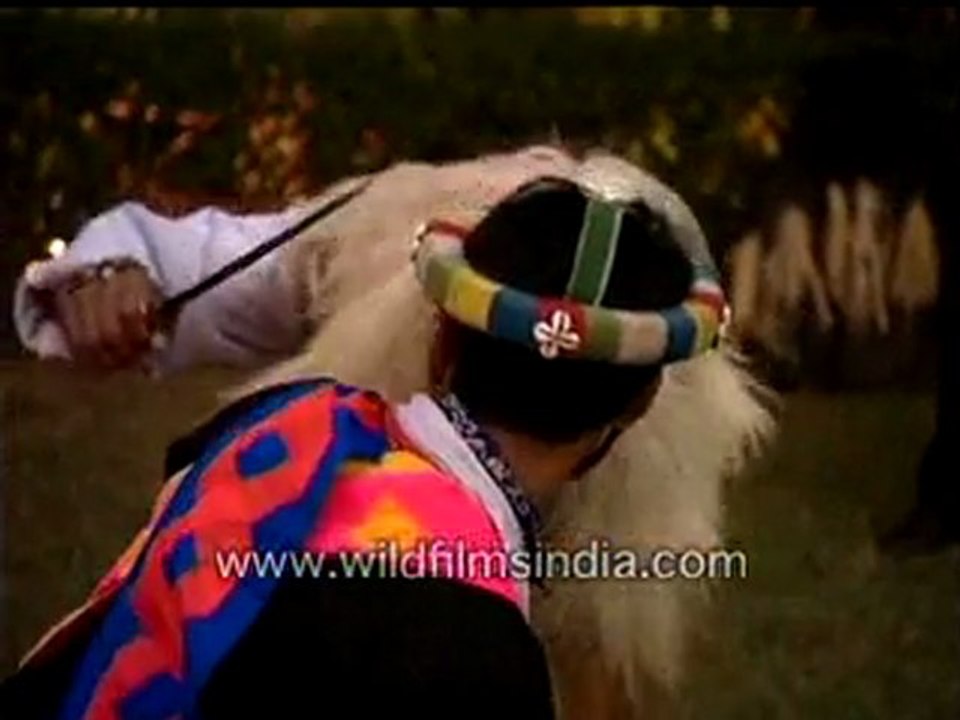 Dance of Arunachal Pradesh