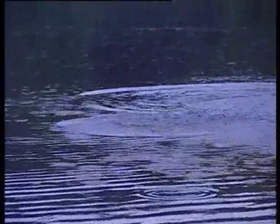 Рыбачьте с нами (Лещ) rybalka.lt