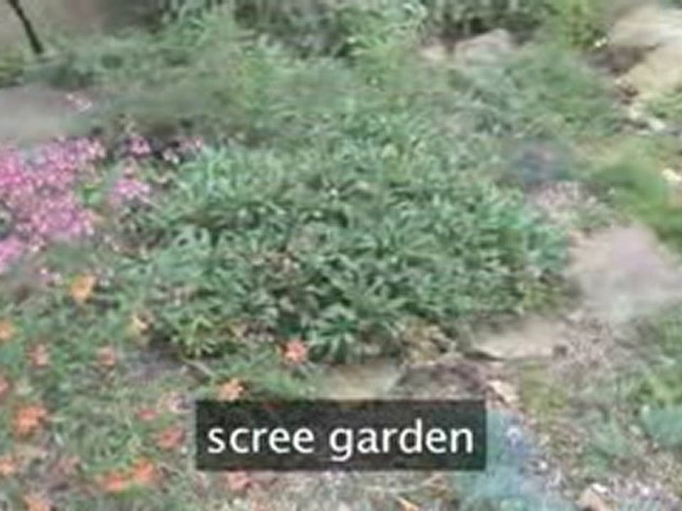 An Introduction To Rock And Scree Gardens