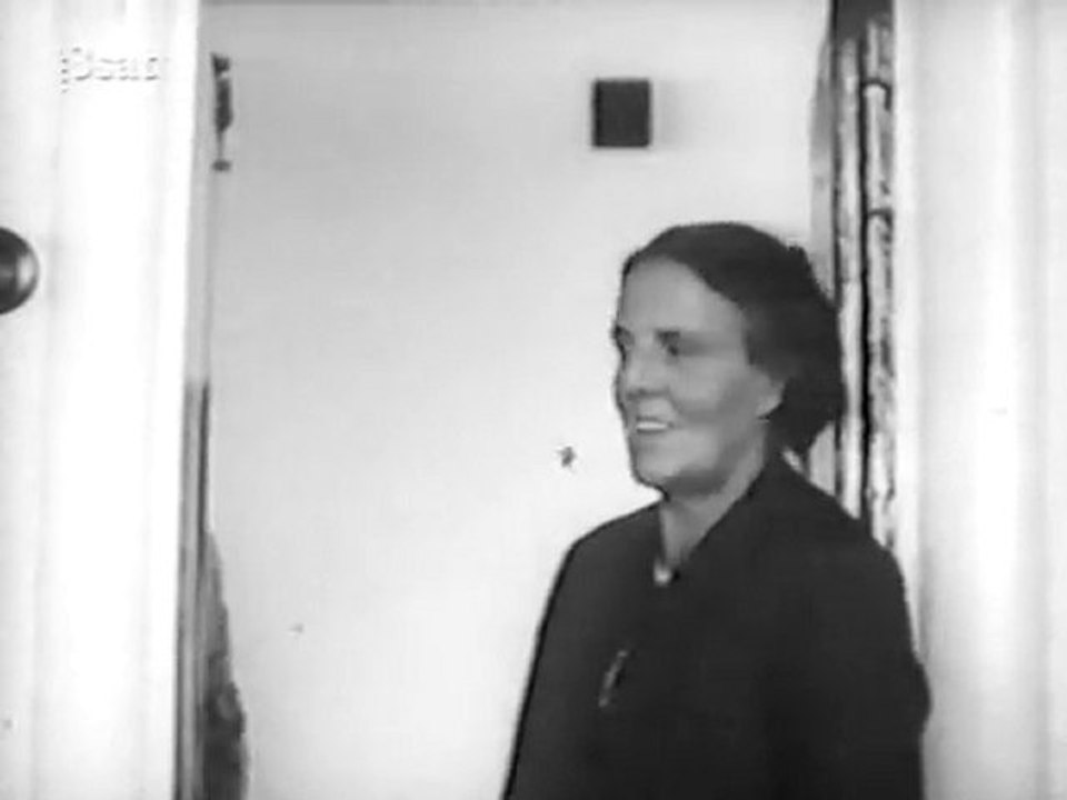 In the name of the laws