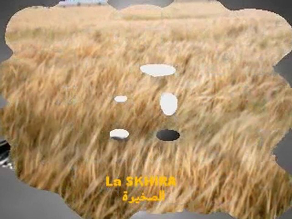 te 3in kouni sabbara