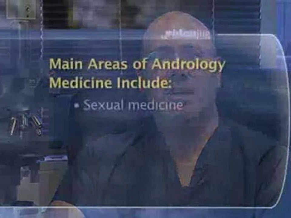Andrology Basics : What are the main areas of andrological medicine?