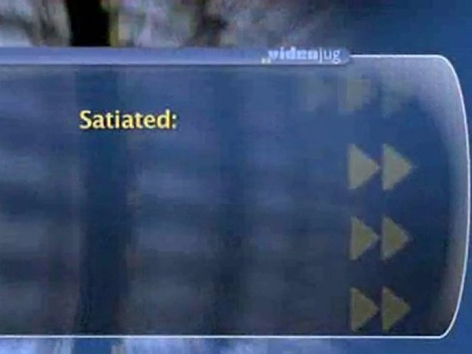 The Basics Of Learning : What conditions stimulate learning?