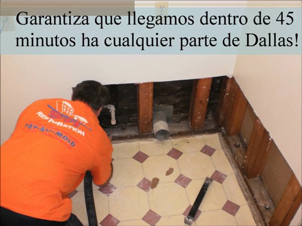 Dallas Eliminación de Moho Eliminación de Mold 911 Restorati