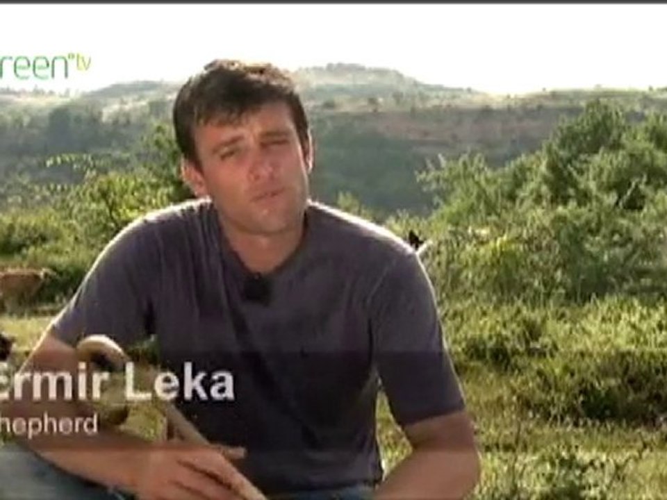 Rescuing Albanian Forests