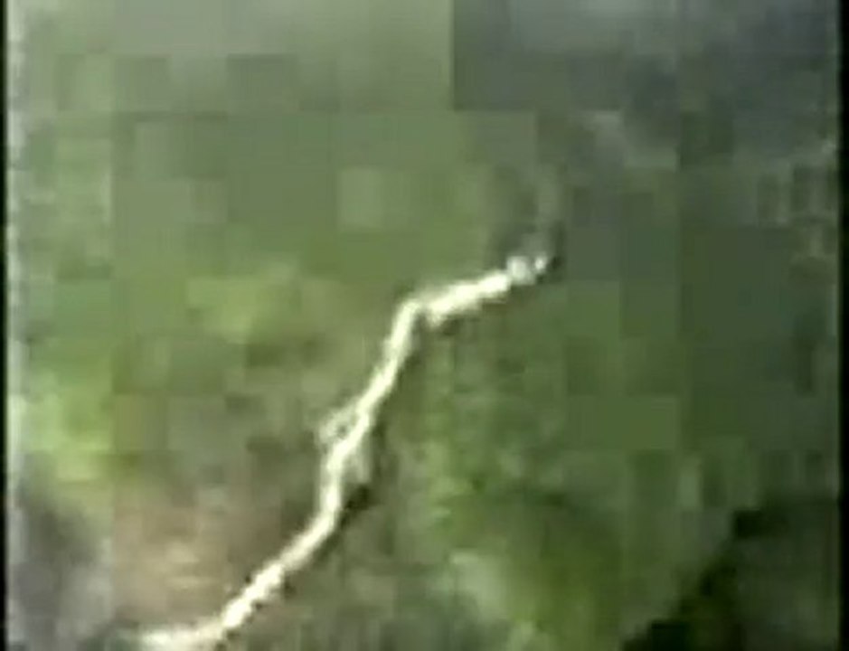 Angel Falls BASE Jump with Helmet Camera Footage