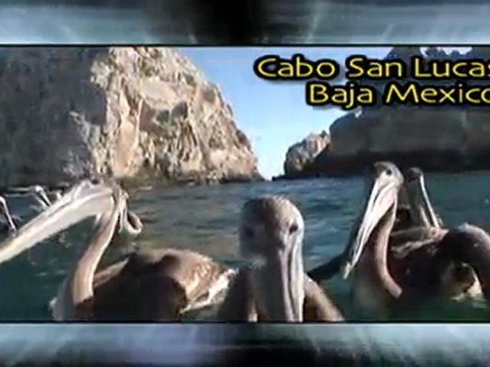 Xcorps SPONSOR promo REEL HD