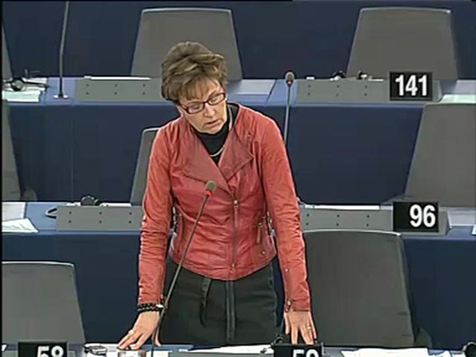 Anneli Jäätteenmäki on Implementation of the Services Direct