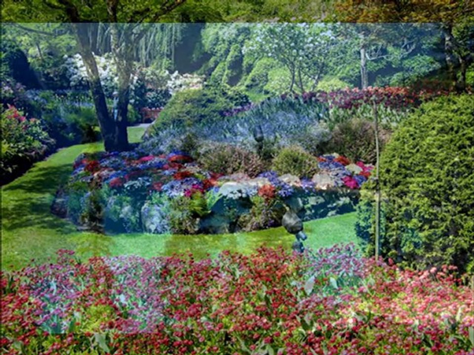 Celine Dion Performs O Canada 🇨🇦