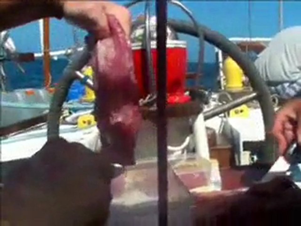 RDJ: de CAPETOWN a LUDERITZ