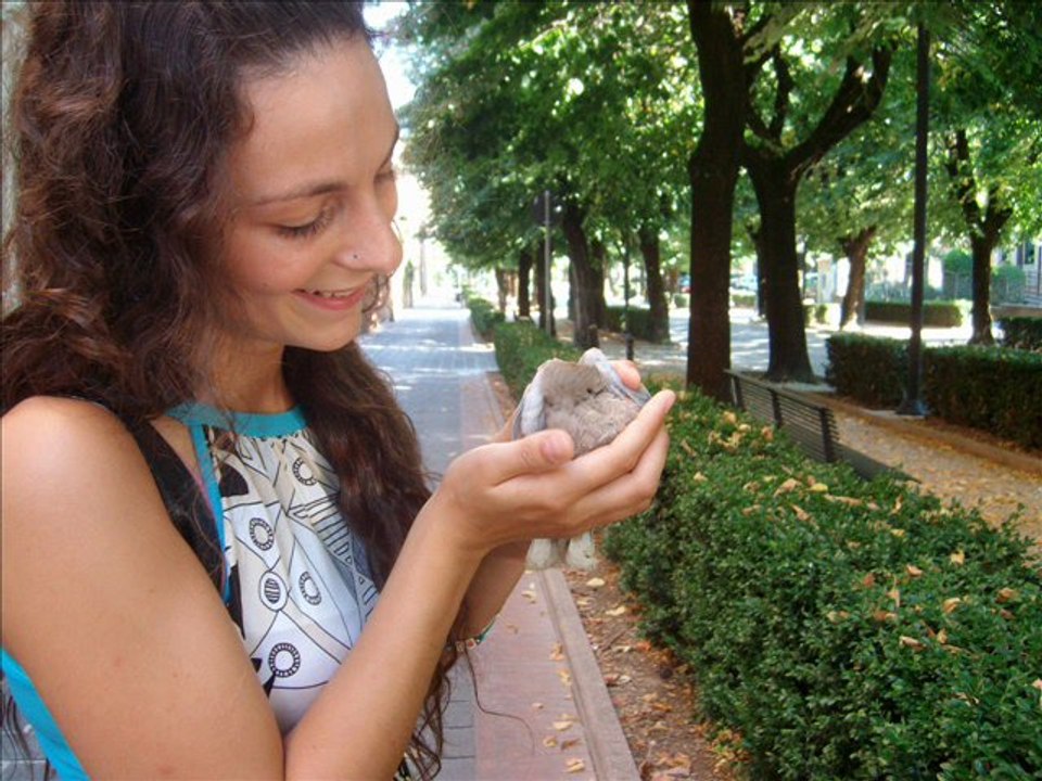 je suis comme je suis