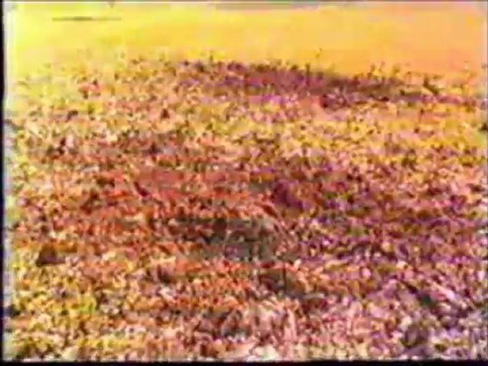 1988 Halabja Poison Gas Attack