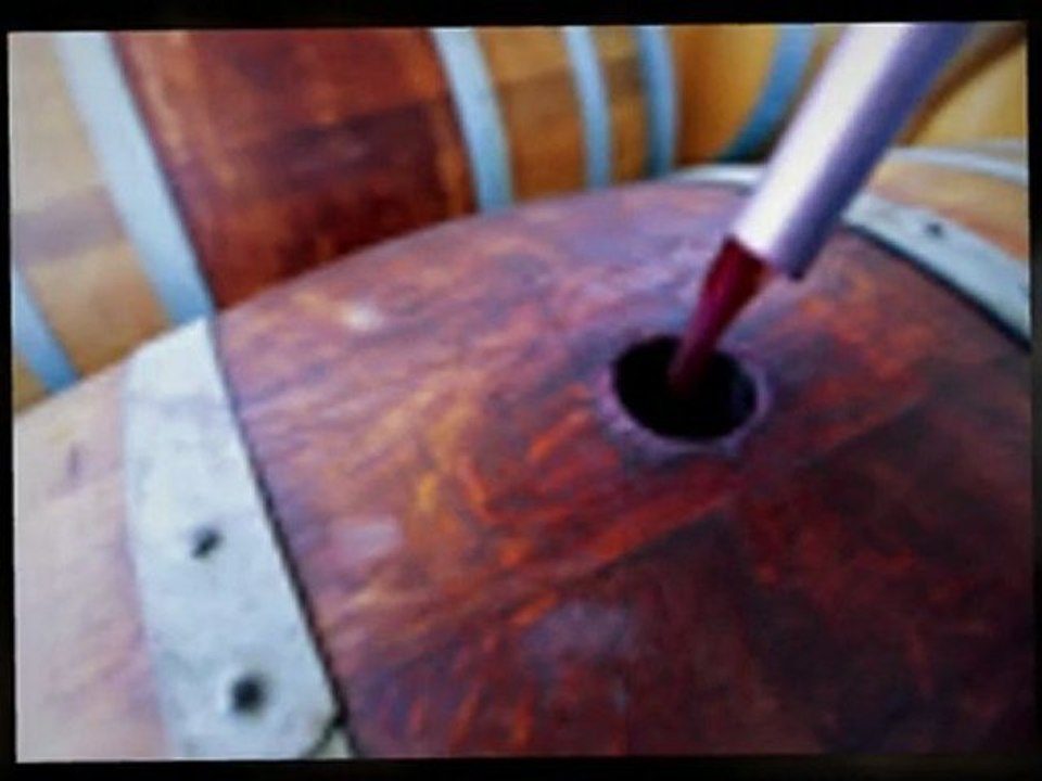 Benefits of tourism!