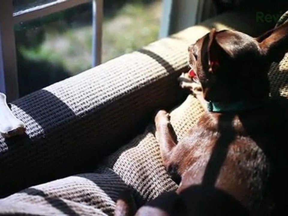 Pure Evil: Crack a Padlock, Build a Hackintosh, and Find Your Unfriends - Lifehacker