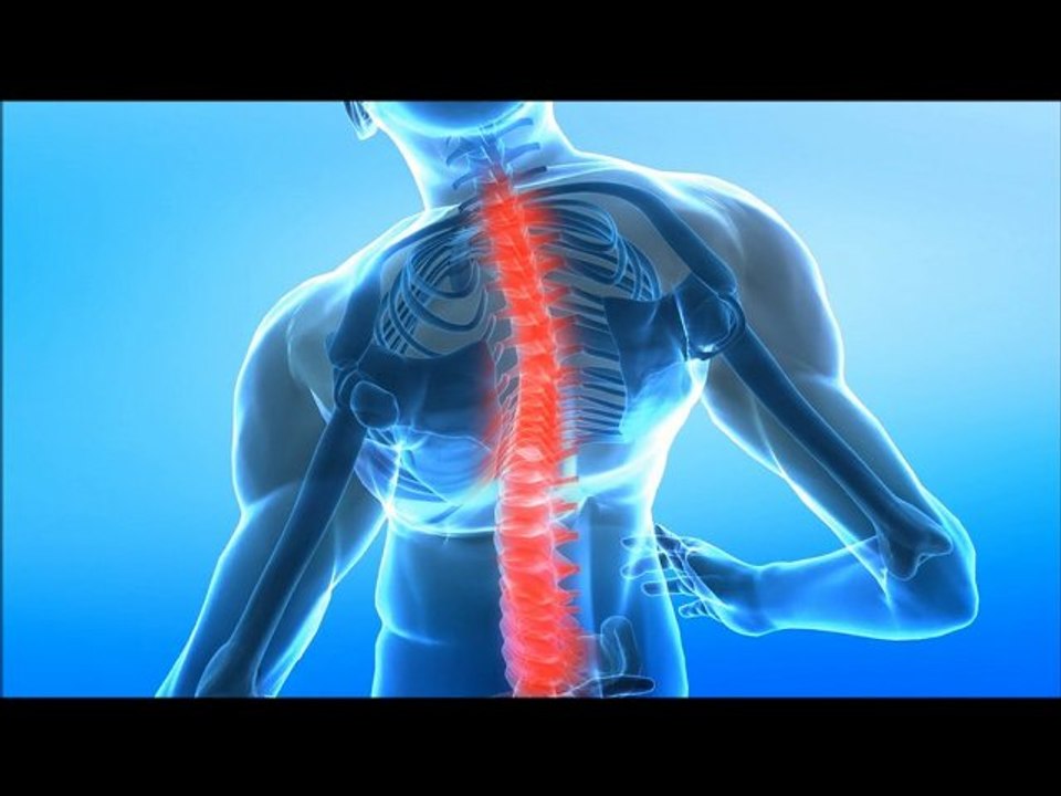 Tout savoir sur l'ostéopathie : définition, séance et techniques ✨