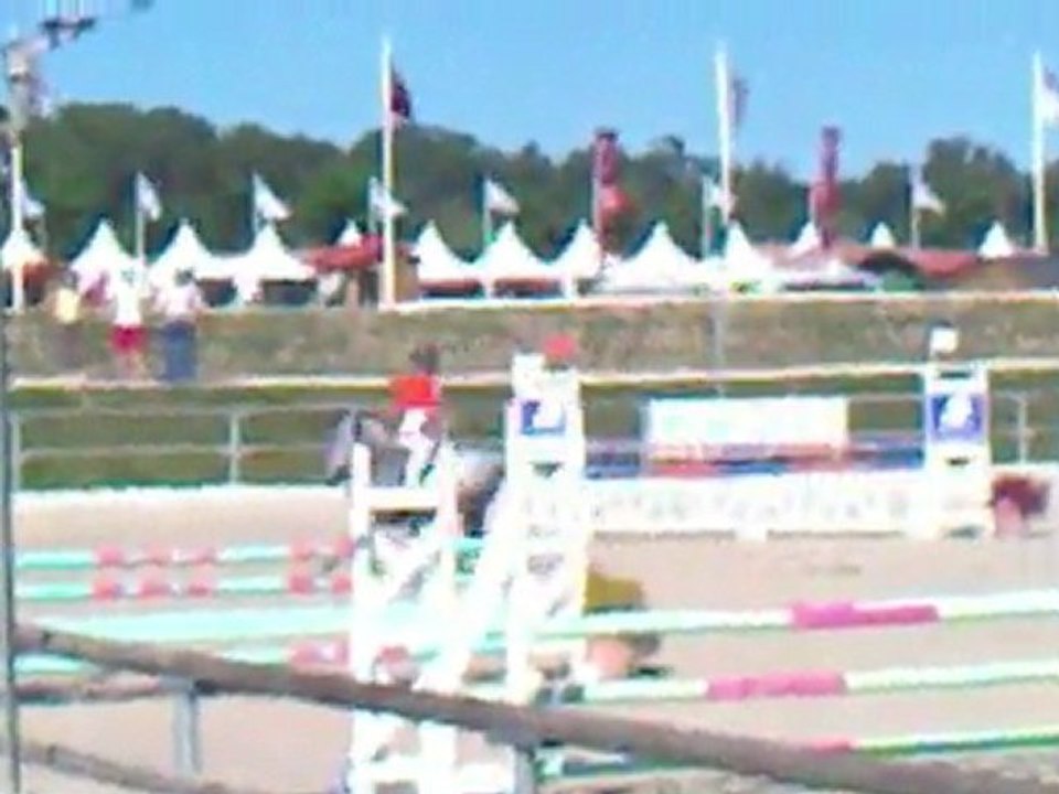 Quamelle en D2P au Sologn pony 2010