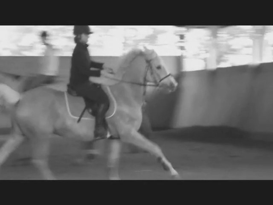 Un nouveau jour avec de nouveaux chevaux 🐴