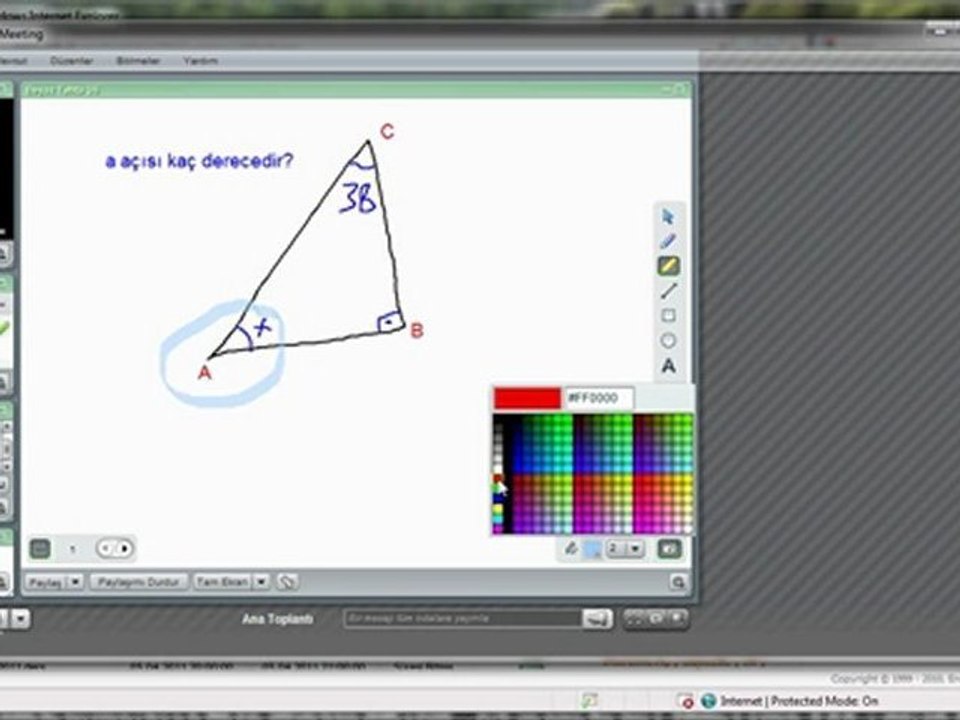 Adobe Connect Pro Kullanımı
