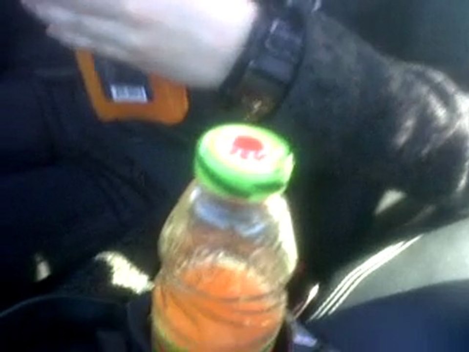 Mishka PNG Image 🖼️